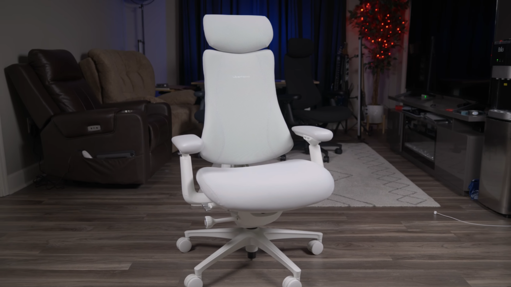 LiberNovo Omni Pro