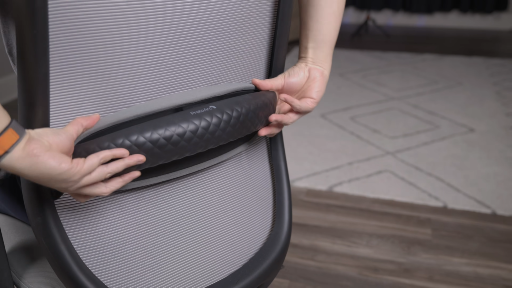 ProtoArc EC200 Pro vs EC200 - Lumbar Support