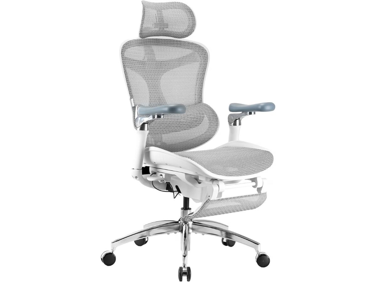 Sihoo Doro C300 Pro V2 ergonomic mesh office chair